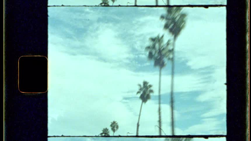 The tops of palm trees are seen against a cloudy sky