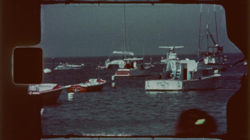 A hydroplane takes off while other people enjoy a sunny day at the ocean in their yachts and other boats