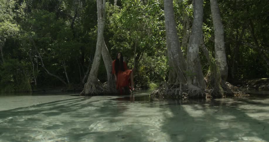 Woman sits by trees near river