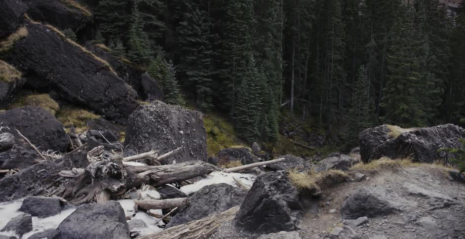 Boulders and broken tree trunks cover the ground in a forest