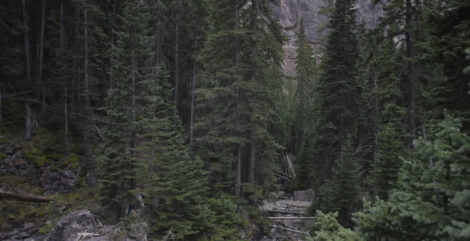A rocky ledge looks out on the mountain forest