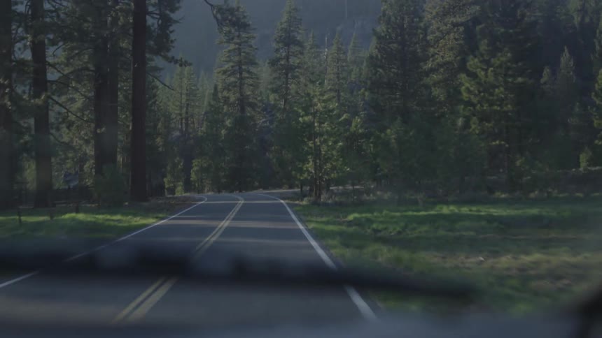 A vehicle drives on a forest road
