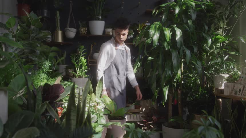A man is walking through a plant store looking at all the plants