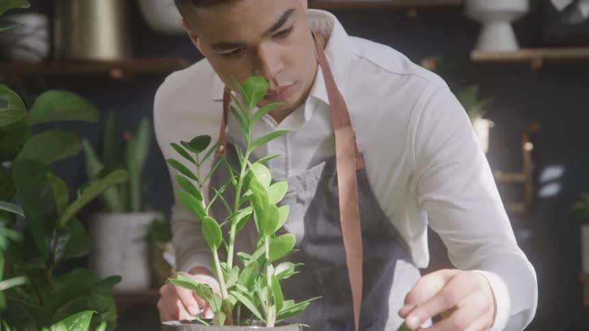 Man working in a plant store tends a plant