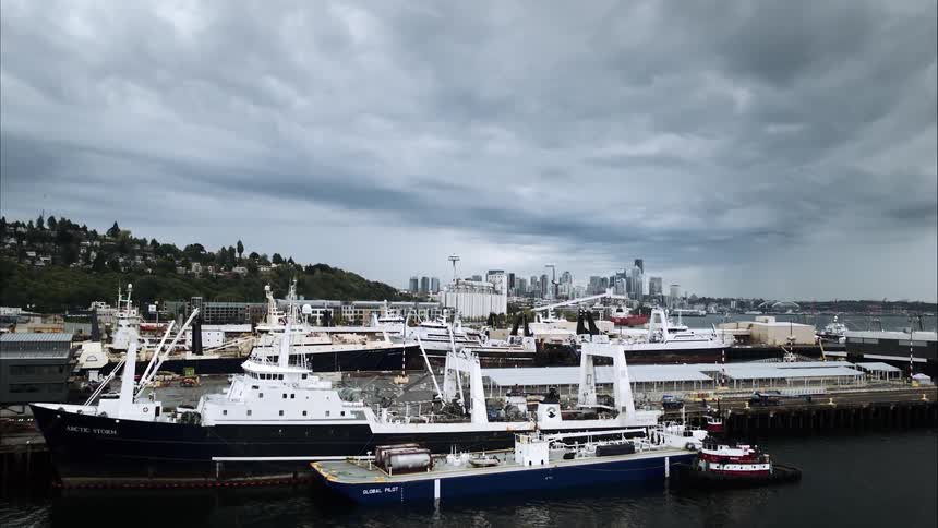 Large ships are at a port outside a city