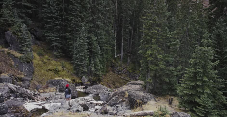 Woman standing among rocks in forest