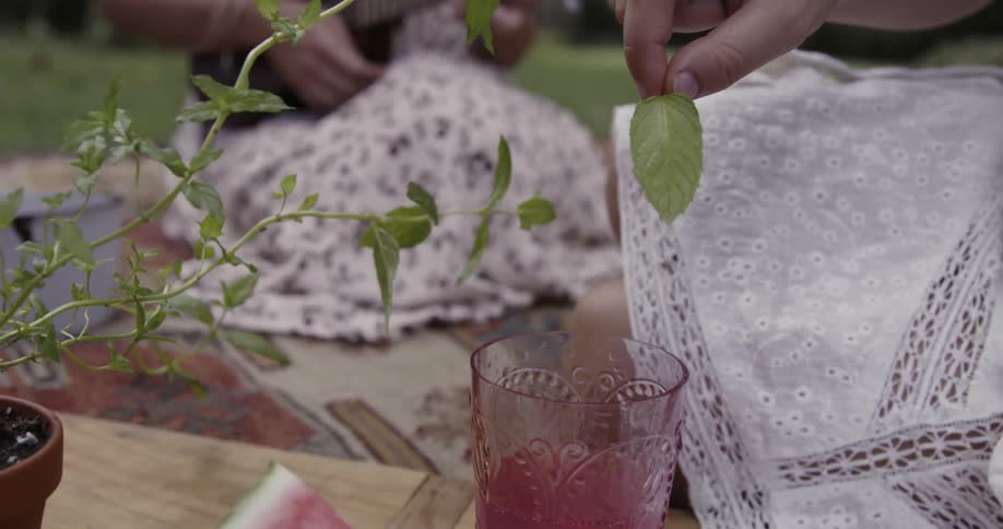 A woman picks a herb leaf and places it in a drink while at a picnic