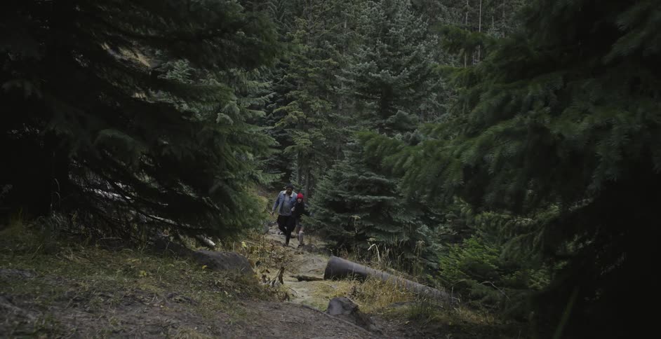 A couple are walking on a path in a forest