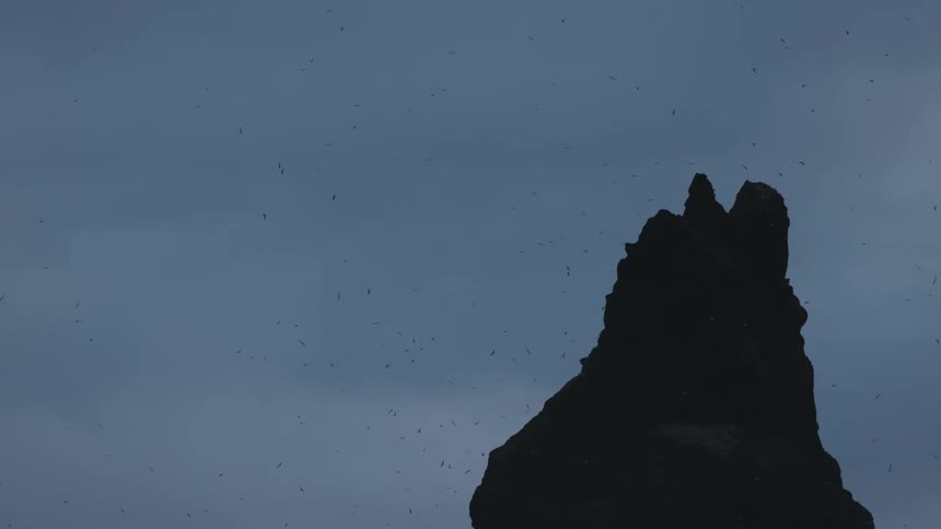 A flock of birds fly around the rock formation