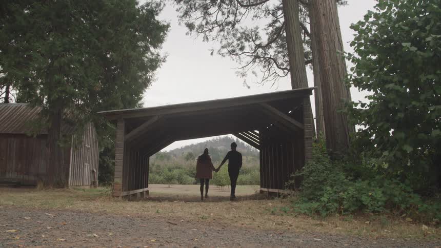 Two lovers are walking through the woods while holding hands on a cloudy fall day