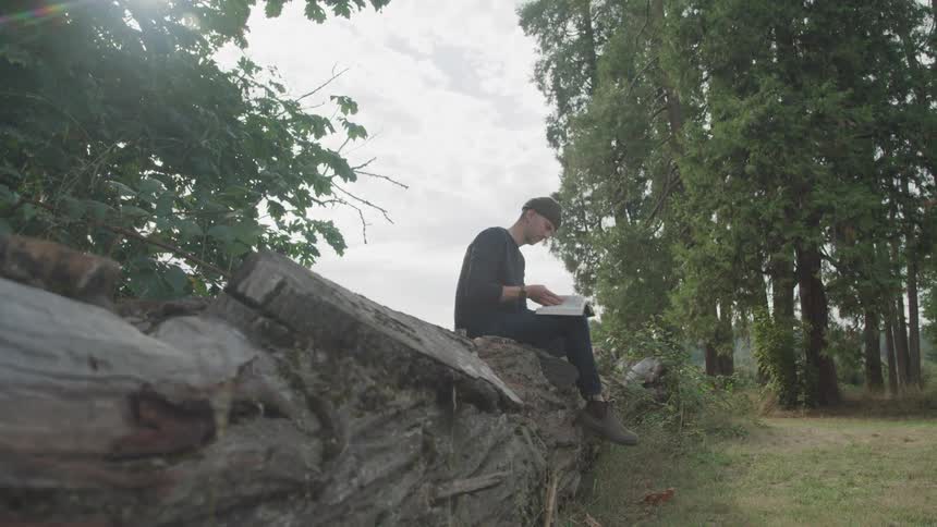 A man reads a book while sitting on a rock wall