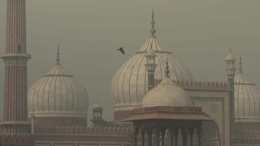 Panorama of domes with classical architecture and a black bird flying on a cloudy day