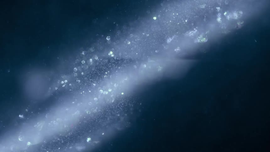 Bubbles and particles floating on a dark background