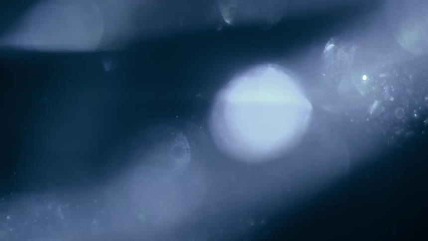 A dark blue slightly blurred environment is speckled with outoffocus floating specks and scattered white particles