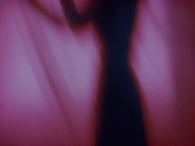 A blurry silhouette of a person holding flowers is visible behind a curtain all bathed in a pinkishpurple hue
