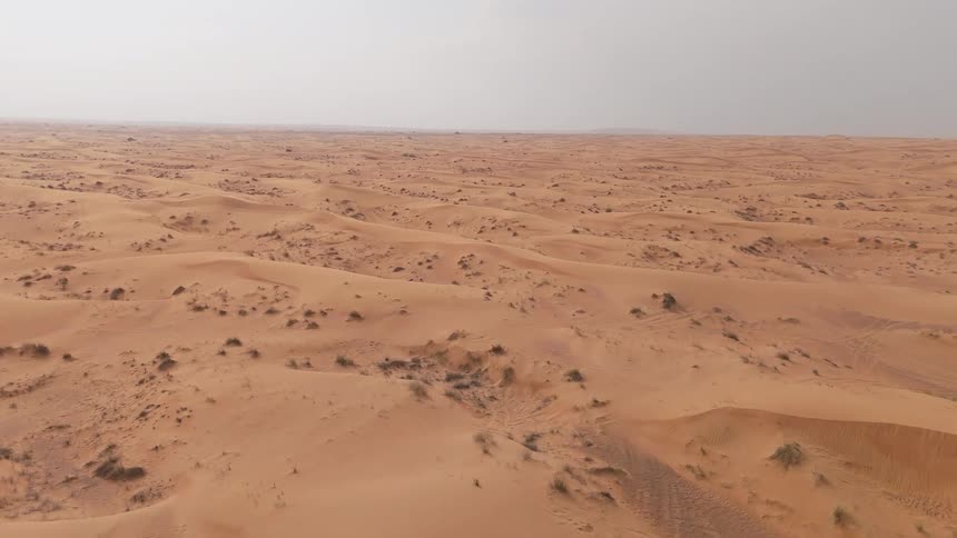 From a high vantage sweeping orange dunes and scattered tufts of vegetation extend toward a hazy horizon creating a vast desert expanse under a muted sky that stretches endlessly in every direction with subtle ridges