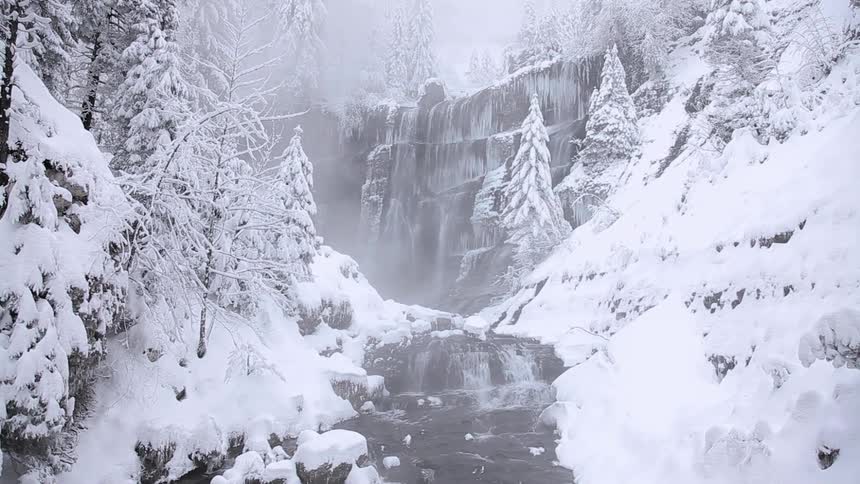 A waterfall and creek lie between snow covered land and trees
