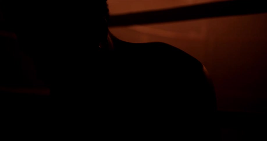 A Boxer is sitting in the dark