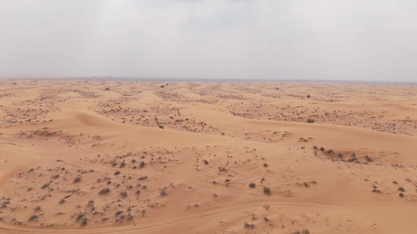 An expansive arid landscape stretches to the horizon under a hazy sky featuring a sandy terrain dotted with sparse vegetation