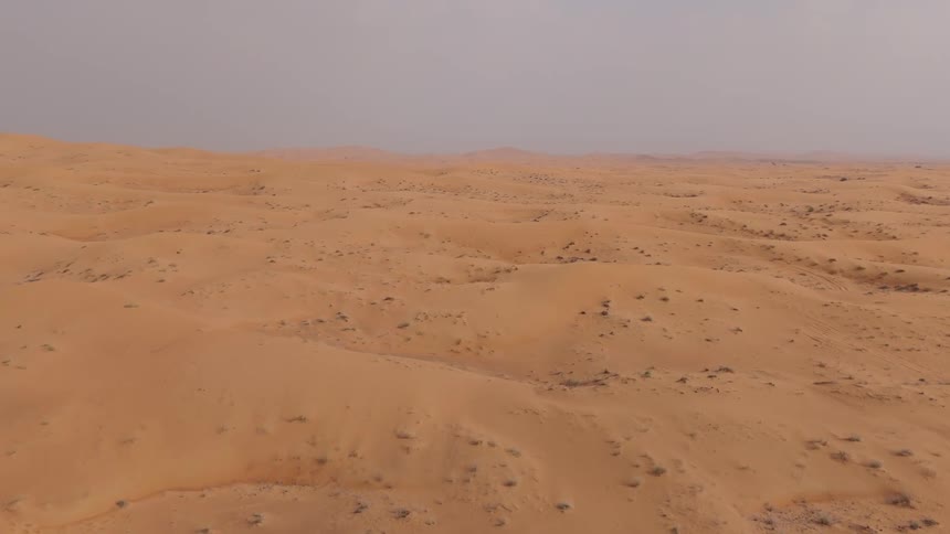 From an elevated vantage vast stretches of orange sand dunes extend across the frame with subtle ridges and scattered patches of sparse vegetation leading toward a hazy horizon under a muted sky
