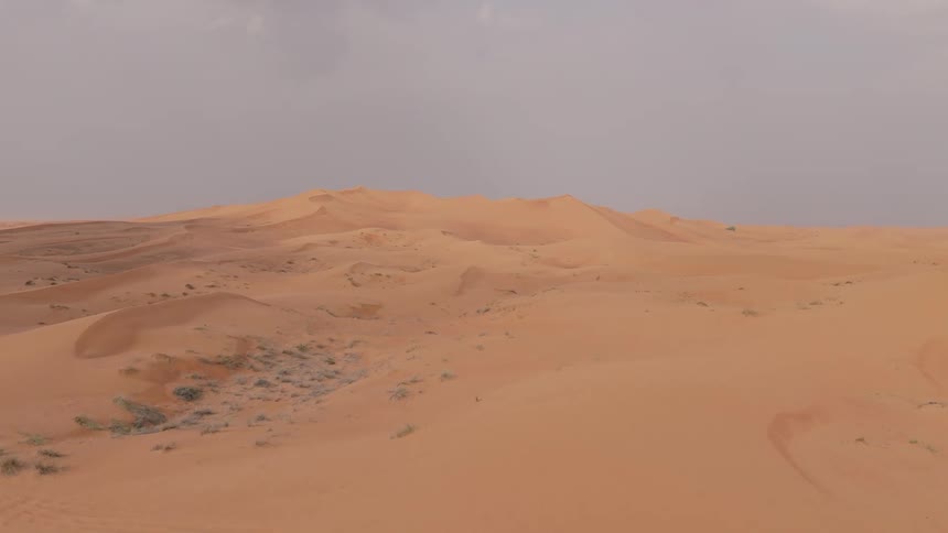 A vast expanse of rolling sand dunes stretches under a muted overcast sky