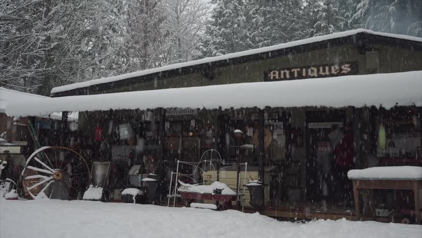 A man carries his child into the antique shop