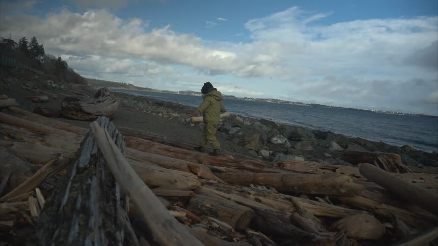 Child playing among logs on the beach