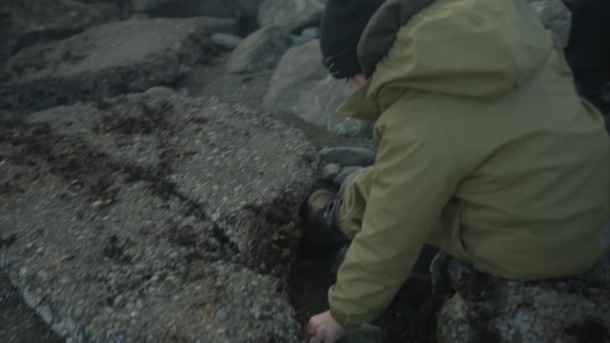 The little boy is sitting on the rocks and picking up smaller rocks and handing them to his parent who is mainly off screen