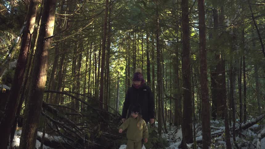 Woman walks through a conifer forest with her daughter on a winter day
