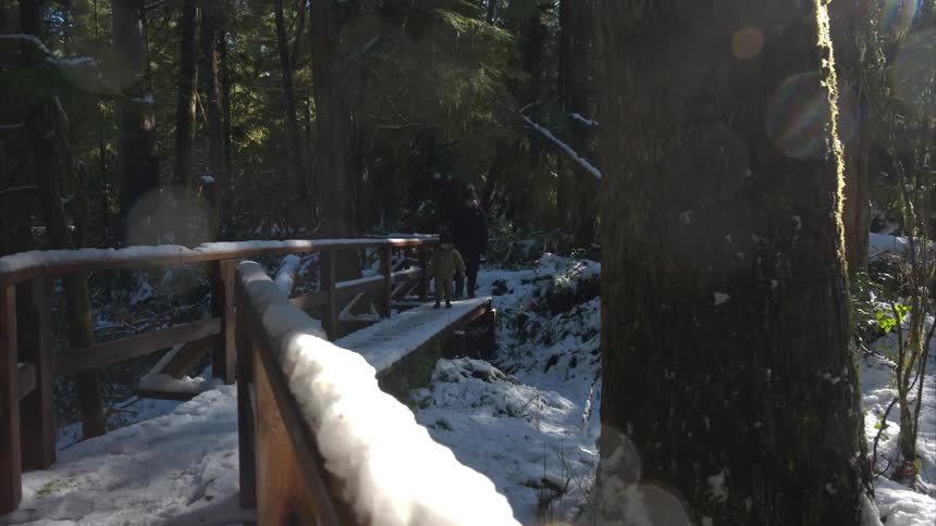 A man and his son are walking on a wooden path in a snowy forest
