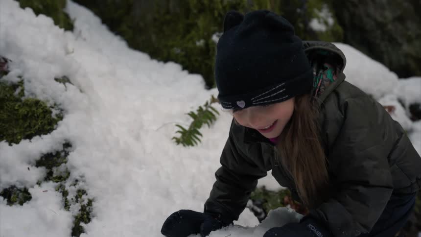 A girl in a black hat and gloves climbs snow covered rocks near ferns and scattered stones