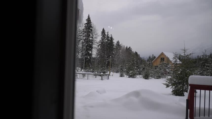 Snow covers a rural home built within the conifer woods on a winter day