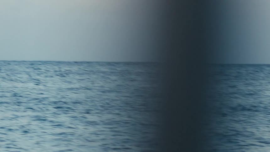 Birds flying above the ocean