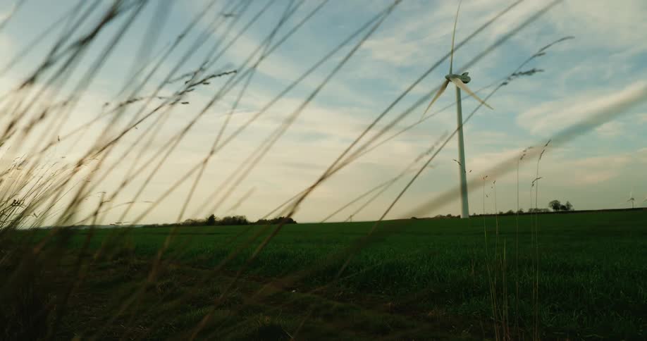 A wind turbine stands tall against a cloudy sky partially obscured by tall swaying grass in the foreground