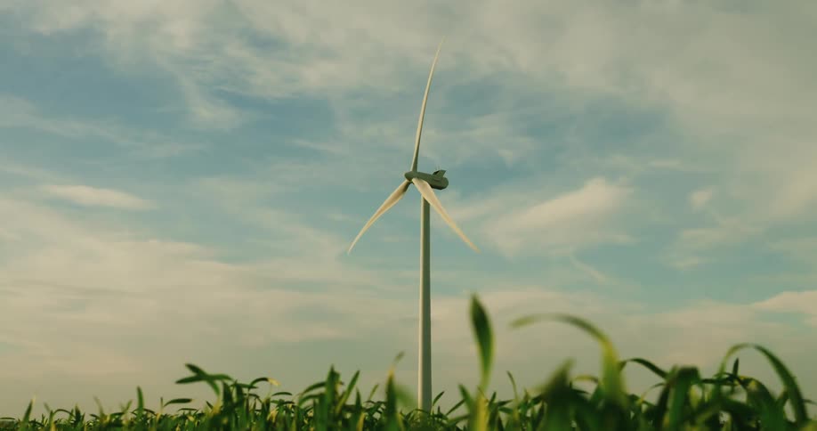 Grass blades swaying in the wind as a wind turbine rotates in the distance