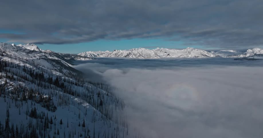 A mistfilled valley encircled by snowcapped mountains and scattered pine trees under a cloudy sky