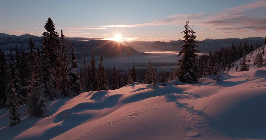 Mountain landscape all covered with snow with many trees shot going forward and showing the whole landscape