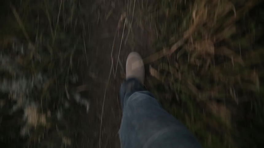 A person walking down a thin trail