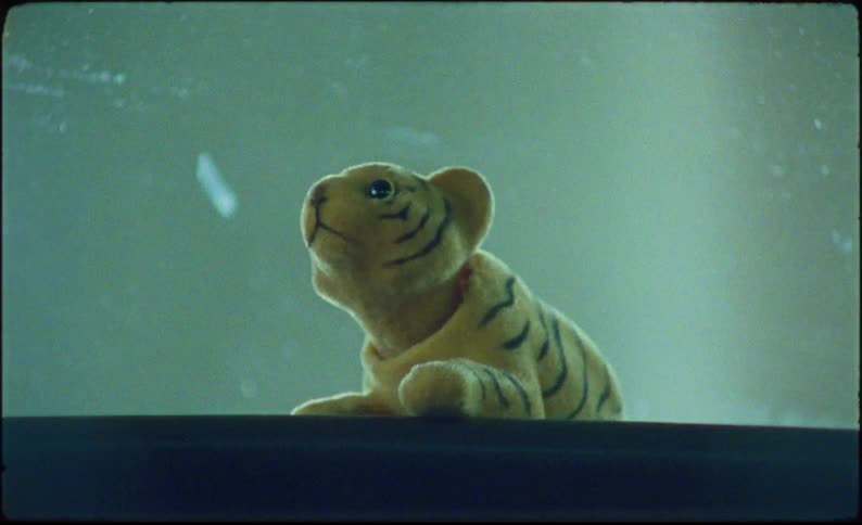 A wide view showcases a classic tiger figurine head bobbing perched atop a vehicles dashboard the perspective slowly draws nearer bringing the quirky detail and its rhythmic nodding