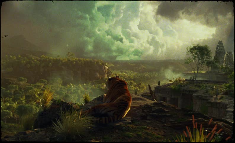 Tiger lying in a greenish and cloudy mountain valley