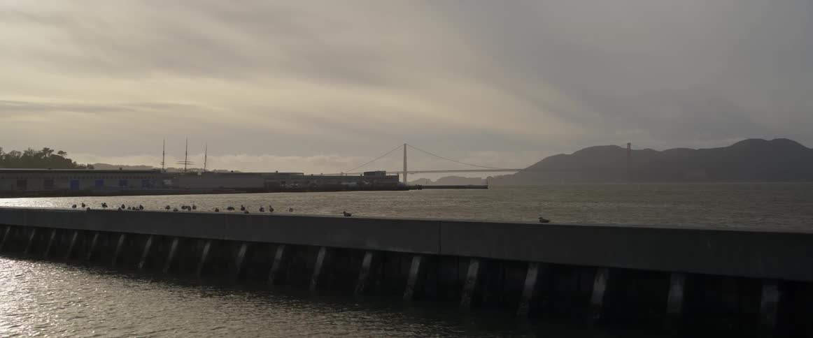 A line of ducks rest atop a concrete breakwater with a harbor distant buildings and a cloudy sky in the calm background