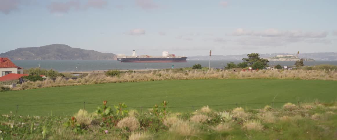 A large freighter is docked by the shore