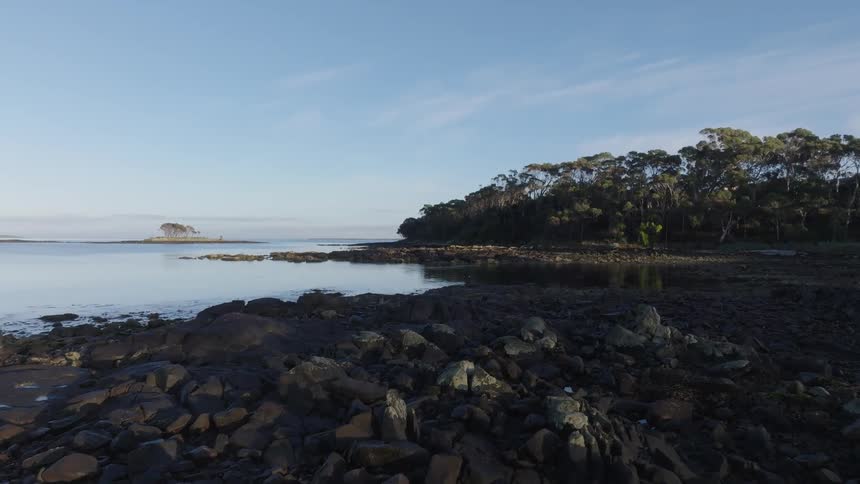 A bird flies off the rocky shore toward the trees and a small island off the coast