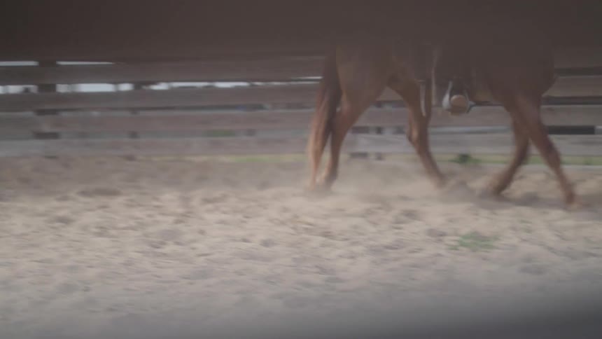 A wooden fence surrounds a ranch as a horse is ridden around the corral