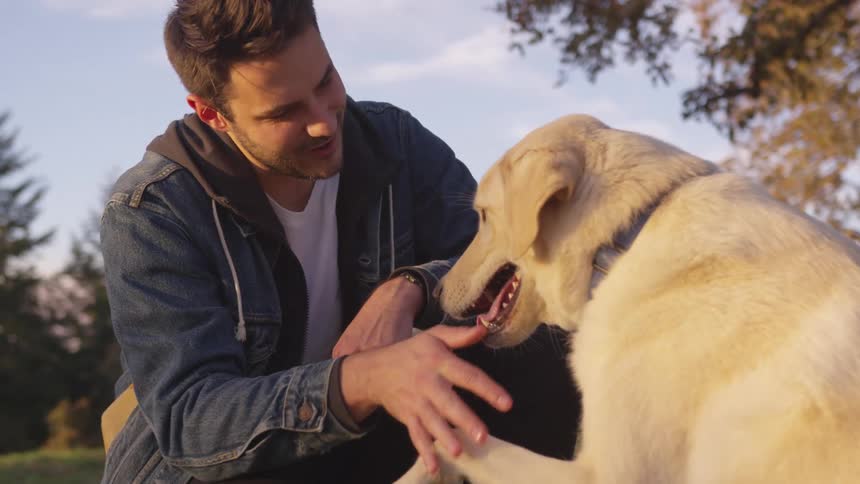 A man is petting his dog in the park