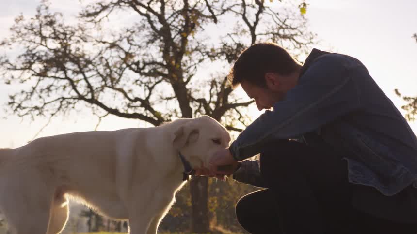 A man crouches down to pet a light colored dog in an outdoor setting with a large tree in the background