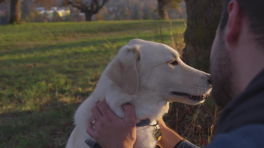 A man pets a light colored dog in an outdoor setting with trees in the background