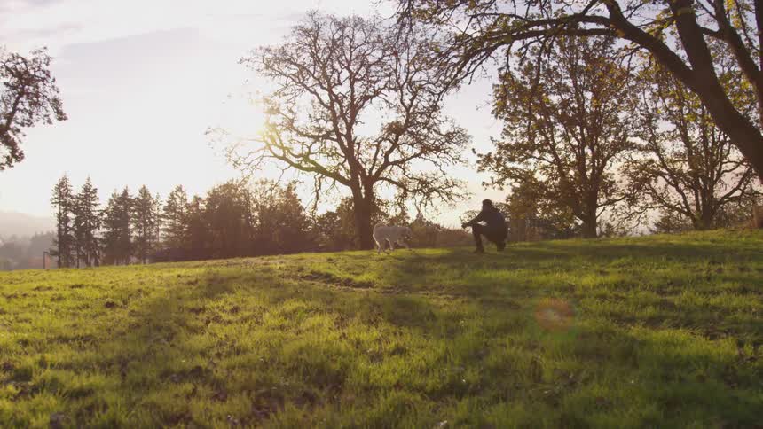 A man is playing in a grassy field with his dog