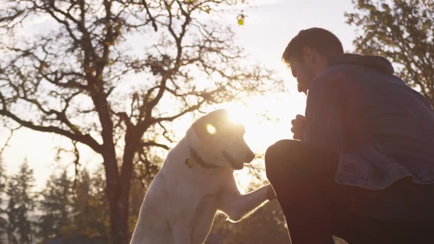 A man is kneeling and petting a light colored dog in a park setting with trees visible in the background