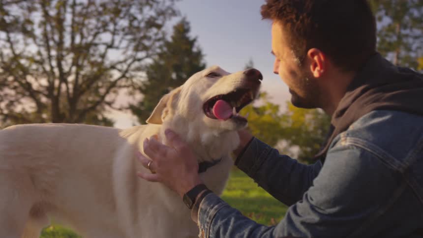 Man pets a dog in a field